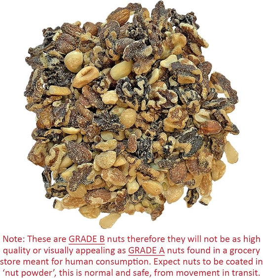 Premium Nut Mix - Unroasted, Unsalted Walnuts, Hazelnuts, Almonds - Food & Treat for Grey Squirrels, Ground Squirrels, Flying Squirrels, Parrots & Other Small Pets (14 Ounce (Pack of 1)