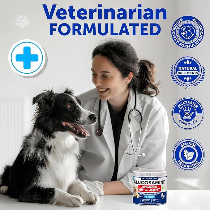 Glucosamine for Dogs - Hip and Joint Supplement for Dogs with Arthritis - Chews with Chondroitin, Hemp Oil, MSM - Canine Joint Pain Relief Health - Mobility Support for Large Breeds - 120 Soft Treats