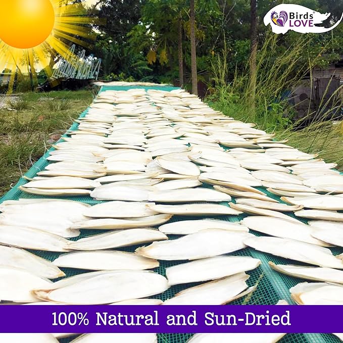 Birds LOVE Natural Cuttlebone | 100% Pure Sun-Dried Calcium Supplement for Birds, Tortoises, Snails & Crabs | Supports Beak & Shell Health | Easy to Chew | 2 Pack, Size 5.5 to 6"