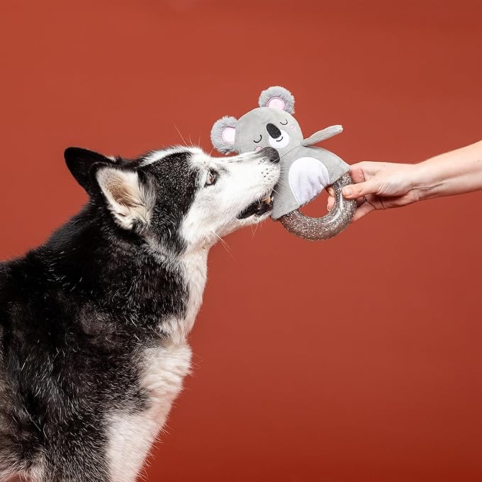 Fringe Studio Rubber Dog Toy, KOAL-ITY Vibes ONLY!, Pet Shop Collection (519082)