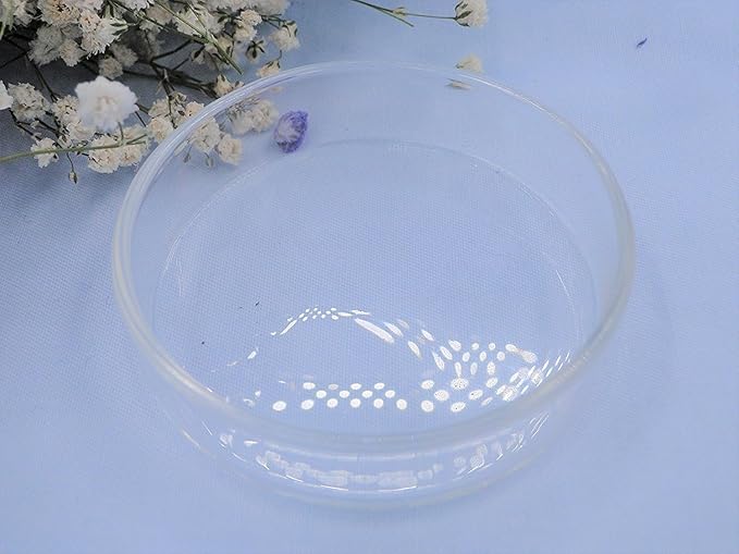 ISTA Clear Glass Dish Tray Bowl Shrimp Snail Fish Feeder Food Feeding Aquarium by Aquarium Supplies
