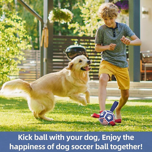 QDAN Dog Toys Puppy Balls, Soccer Ball with Straps, Durable Dog Balls for Small Dogs (5 Inch)