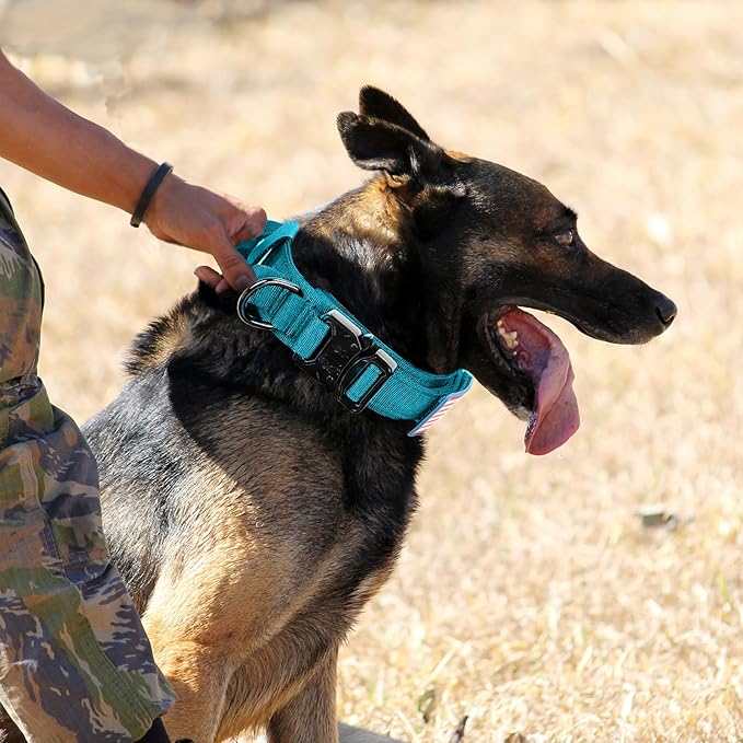Tactical Military Dog Collar - Adjustable Nylon, Heavy Duty Metal Buckle with Handle for Dog Training, with Patches (Light Blue 1, L)