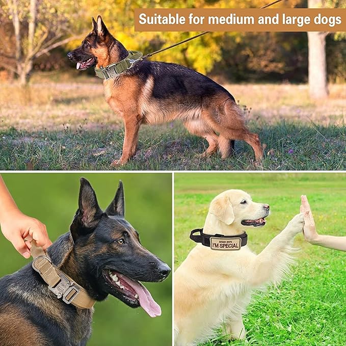 Tactical Dog Collar and Leash Set Heavy Duty Military Dog Collar with Handle and Metal Buckle for Medium and Large Dogs (Army Green, M)