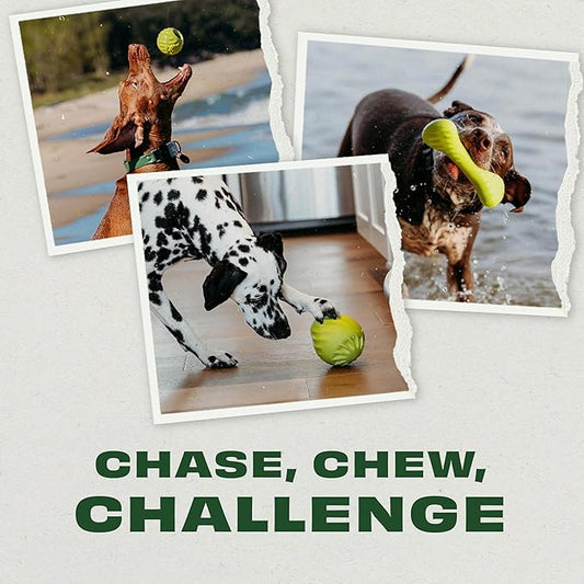Benebone 3-Pack Ball/Bone Medium/Pawbler Rubber Pet Toys