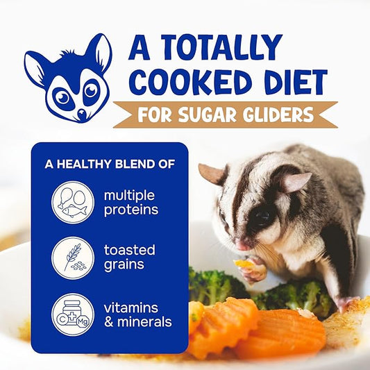 Wholesome Balance Sugar Glider Food - Chicken & Rice | 12 Ounces of Premium Dense Food for Sugar Gliders and Small Animals - 1 Months Supply