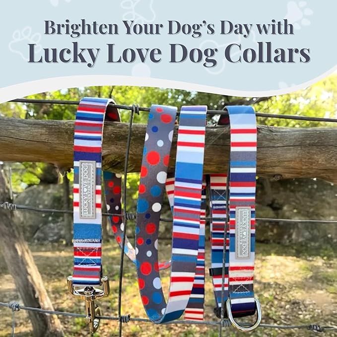 Lucky Love Dog - Adjustable Dog Collar with Easy Click Buckle for Small to Large Dogs, Durable, & Comfortable for Male & Female Dogs, Pet Collar for Puppies & Adult Ones - Linus, Medium