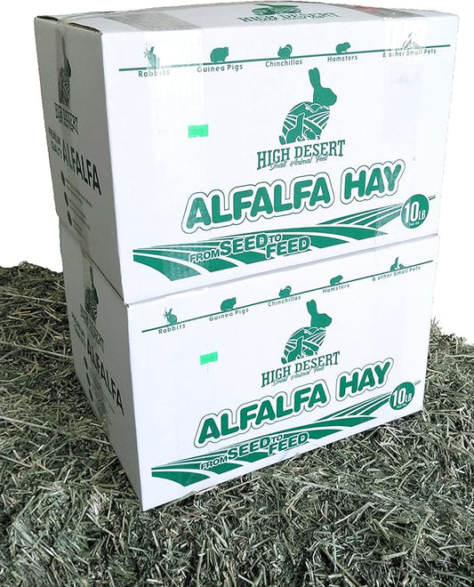 High Desert Alfalfa Hay for Rabbits, Guinea Pigs, Chinchillas & Small Pets – Protein-Rich Natural Hay for Young, Growing Animals – High-Fiber, Hand-Packed, Additive-Free, Grown in USA – 10 lb Box
