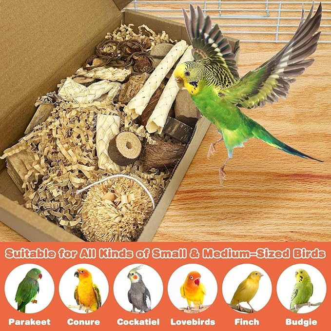 PINVNBY Natural Bird Toys Bird Foraging Box Interactive Parrot Shredding and Chewing Toy for Conure Parakeet Budgie Cockatiel Lovebird Small-Medium Birds (Medium)