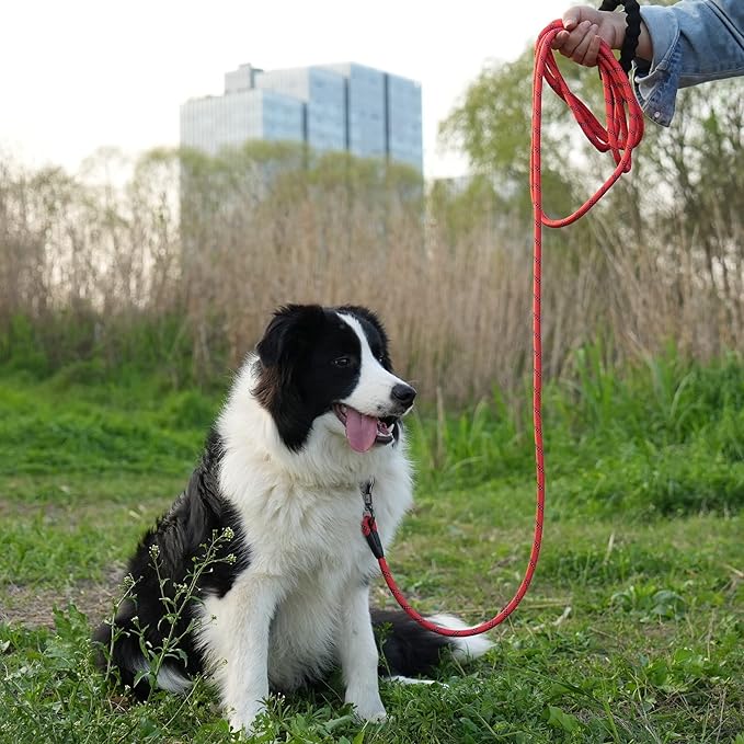 NTR Long Leash for Dogs, 100FT Check Cord with Swivel Lockable Hook and Comfortable Padded Handle for Reflective Dog Leash for Small Medium and Large Dogs Walking Training Hiking Camping Playing