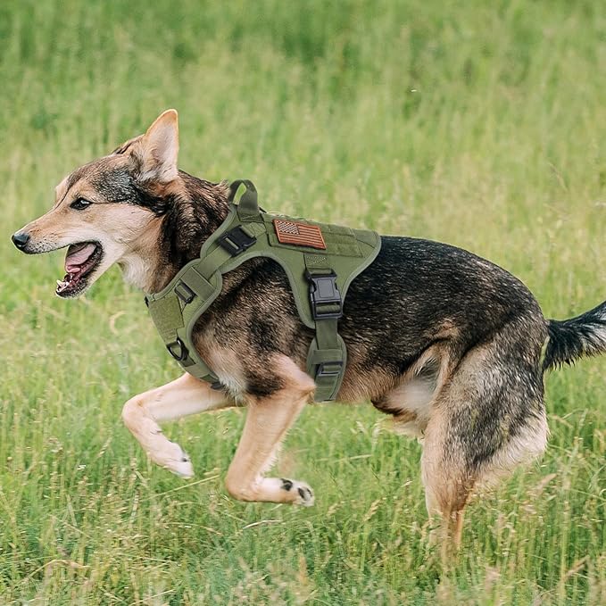 rabbitgoo Tactical Dog Harness for Large, Heavy Duty Pet Harness with Handle, No-Pull Service Vest Large Breed, Adjustable Military Dog Vest for Training Hunting Walking, Green, XL