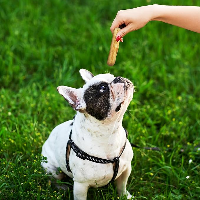 Wildfang® Coffee Wood Dog Chew, Small – Tough Chew Toys for Aggressive Chewers, Dog Teething Toys for Puppies, Training for Chewing Muscles, Coffee Tree Sticks for Small Dogs (22–33 lbs), Pack of 3