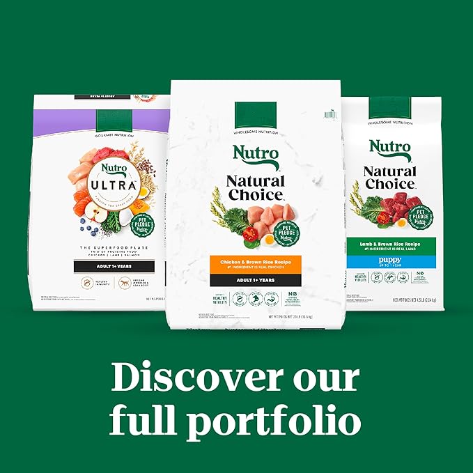 Nutro Natural Choice Adult Dry Dog Food, Beef and Brown Rice Recipe, 4.5 lbs