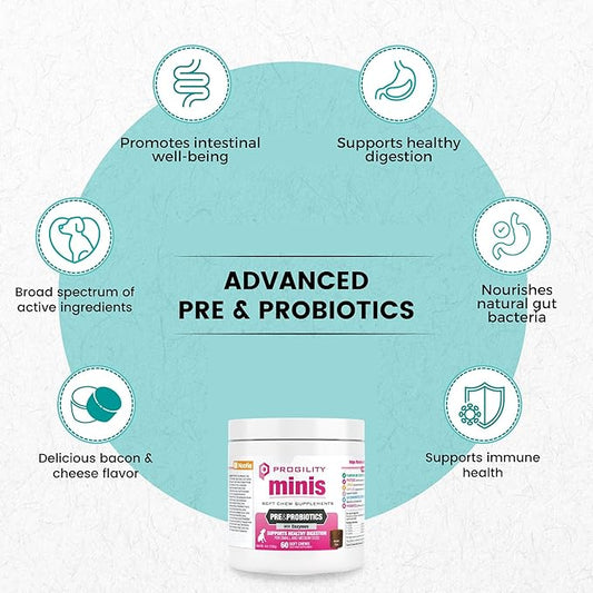 Nootie Progility Mini Pre & Probiotic Supplement, Digestive Aid Supplement for Dogs, 60 Soft Chews per Container