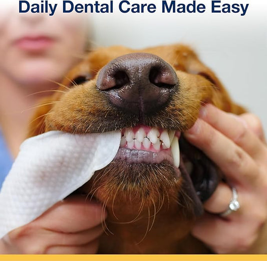 ProDen Dog Teeth Cleaning Wipes - Dog Plaque and Tartar Remover for Fresh Breath and Cleaner Gums - Pet Dental Finger Wipes for Easy, Convenient Oral Care - Fresh Apple & Mint Flavor (50 ct)