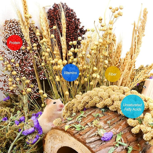 Natural Hamster Bedding, Hamster Herbs Flowers for Hamster Cage Enclosure Habitat Decor Hamster Sprays for Dwarf Syrian Guinea Hamsters Gerbil Degus or Other Small Animals(Grain Version)