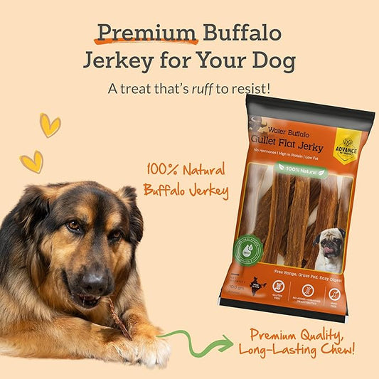 Gullet Flat Jerky (12" Long, 15 Count/Pack) Buffalo Dog Treats for Large, Medium & Small Breed, Healthy Training Treats for Dogs, Gluten Free & Odor Free, Easily Digestible - 1lb
