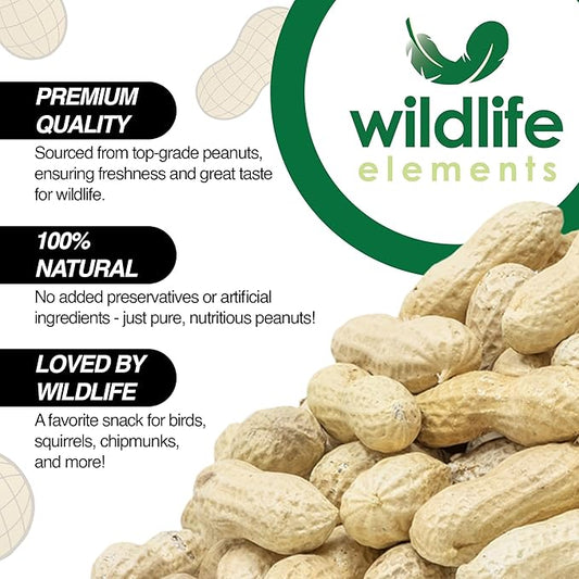 Peanut Party Unprocessed, Raw in-Shell Peanuts Wildlife Animal Food, 10lb - Rich in Protein, Healthy Fats, and Essential Nutrients for Birds, Squirrels & Waterfowl