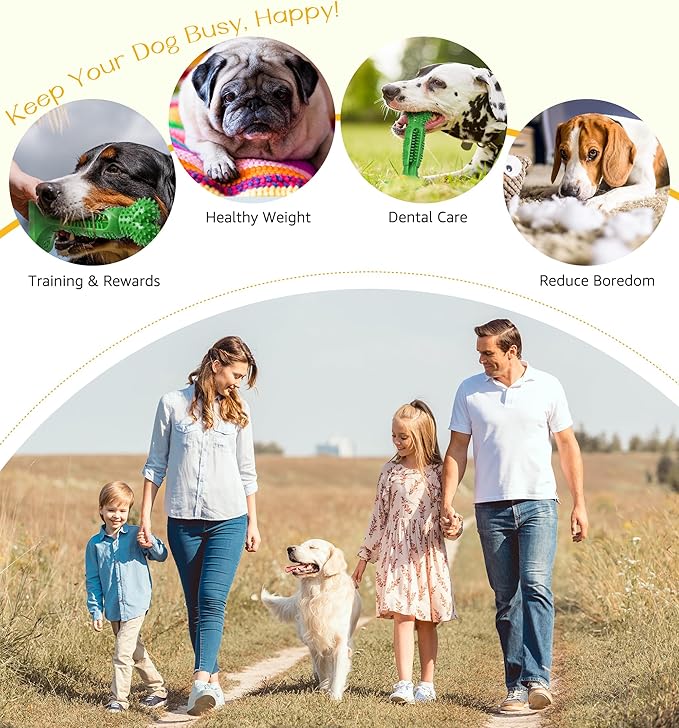 Dog Chew Toy for Teeth Cleaning, Natural Rubber Toothbrush Stick with 360° Bristles, Durable Dog Toys for Aggressive Chewers, Interactive Dental Toy for Medium and Large Dogs (Green)