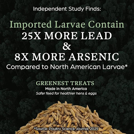 Dried Black Soldier Fly Larvae for Chicken - Treats for Hens, Duck, Wild Birds, Lizard, Tortoise, Fish - All Natural High Protein Dried Mealworms Alternative - Made in North America