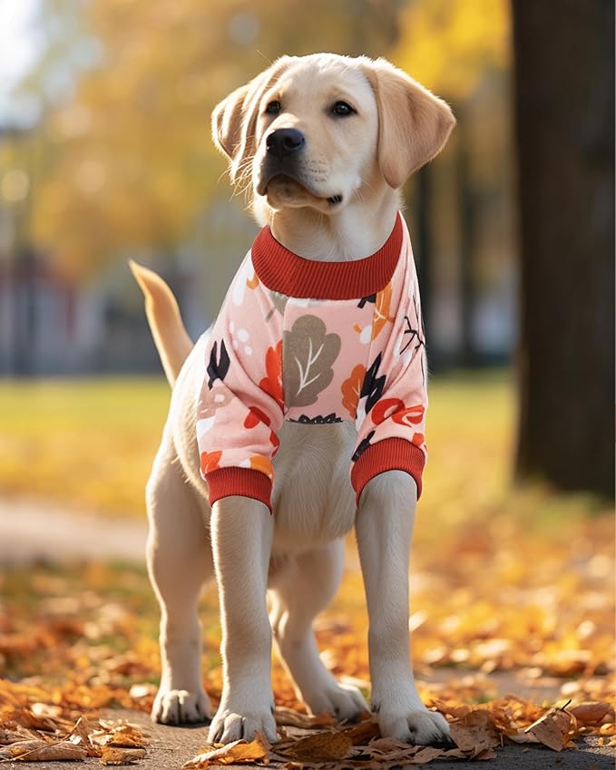 PET SHOW 4 Pack Fall Small Dog Pajamas Thanksgiving Clothes for Medium Dogs Girl Boy Soft Stretchy PJs Autumn Jumpsuit Puppy Onesies Outfits with Sleeve Pets Dachshund Costume XXL