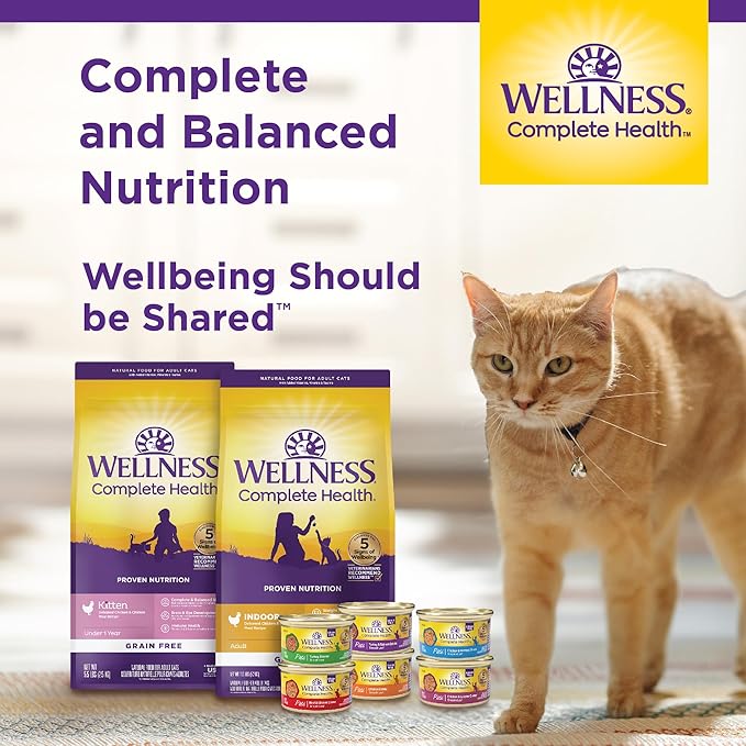 Wellness Complete Health Pate Adult Wet Cat Food, Natural, Protein-Rich, Grain Free, 12.5 Ounce, 12 Pack, (Chicken & Lobster)