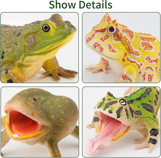 Toymany Frog Toy Figures, Plastic Rainforest Woodland Animals Toy Frogs Set with Realistic Poison Dart Frog, Cake Topper Party Favor Garden Flowerpot Plants Decor