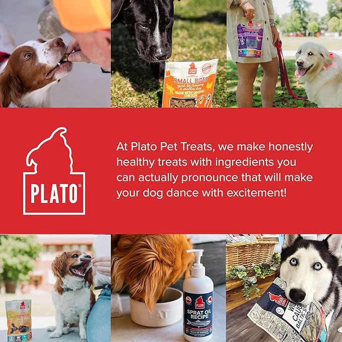 PLATO Thinkers Duck 18oz, Natural (850002221572)