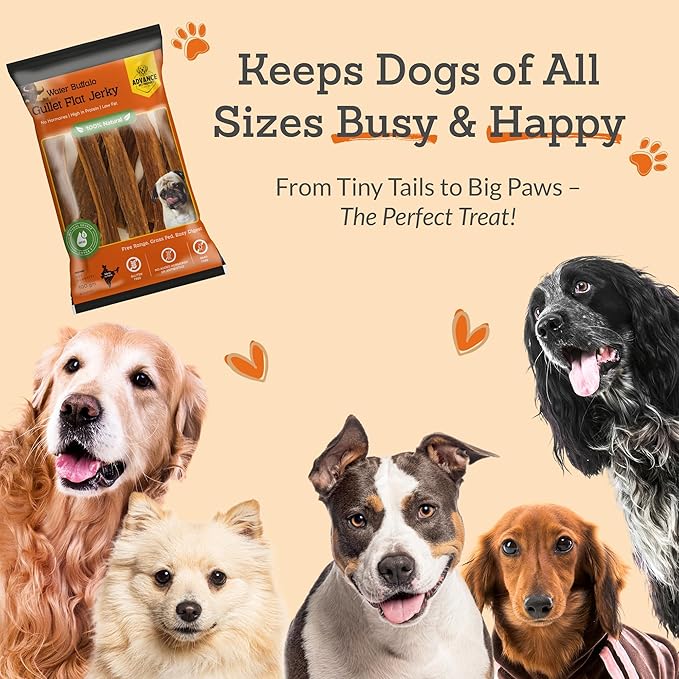 Gullet Flat Jerky (12" Long, 15 Count/Pack) Buffalo Dog Treats for Large, Medium & Small Breed, Healthy Training Treats for Dogs, Gluten Free & Odor Free, Easily Digestible - 1lb