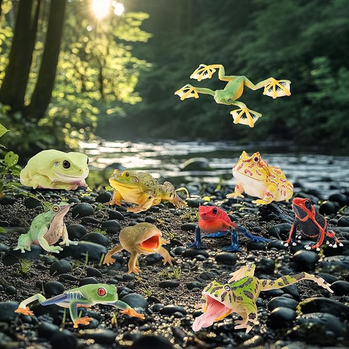 Toymany Frog Toy Figures, Plastic Rainforest Woodland Animals Toy Frogs Set with Realistic Poison Dart Frog, Cake Topper Party Favor Garden Flowerpot Plants Decor