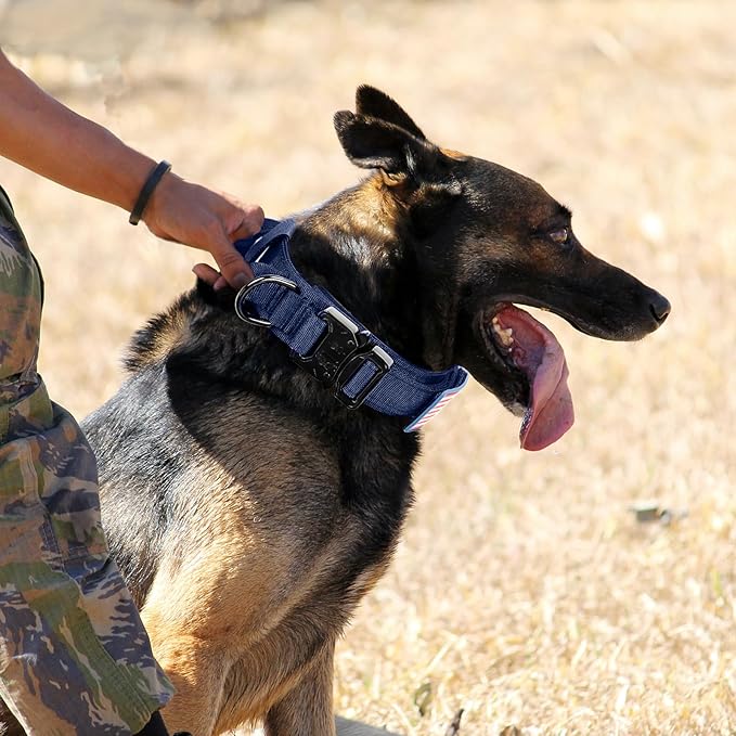 Tactical Military Collar - Adjustable Nylon, Heavy Duty Metal Buckle with Handle for Dog Training, with Patches (Blue, M)