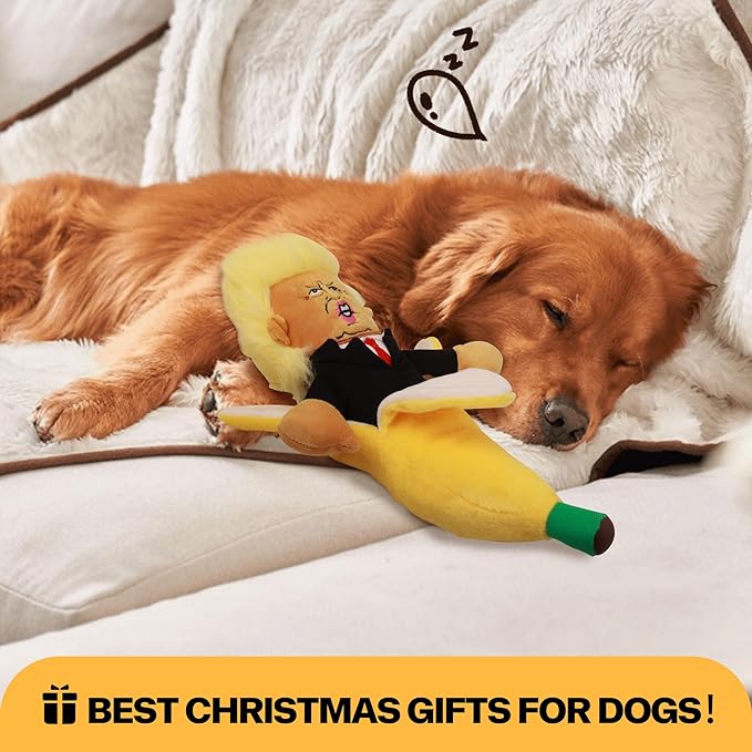 Squeaky Dog Toys with Crinkle Paper Funny Plush Dog Toy Fit Small Medium Large Dogs Hilarious Interactive Dog Toys for Dog Entertainment