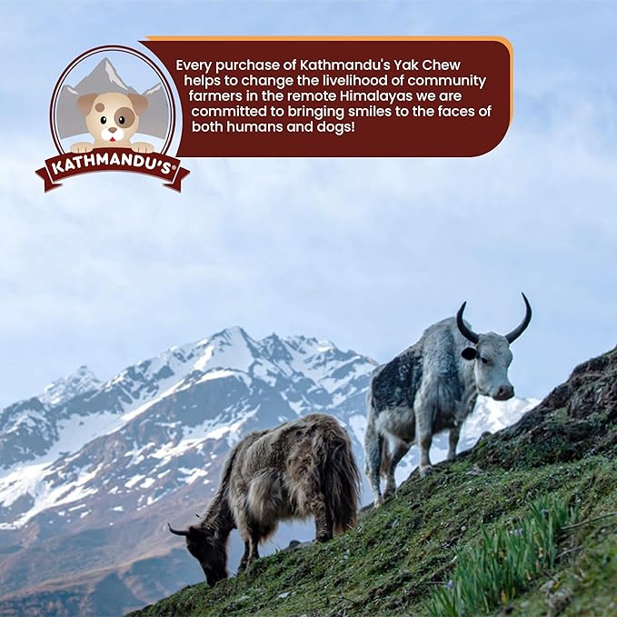 KATHMANDU'S Authentic Yak Cheese Himalayan Dog Chews Large (Pack of 4) - All Natural High Protein Dog Treats Per Chew, Delicious & Long Lasting for Aggressive Chewers | Odor & Gluten Free Chews