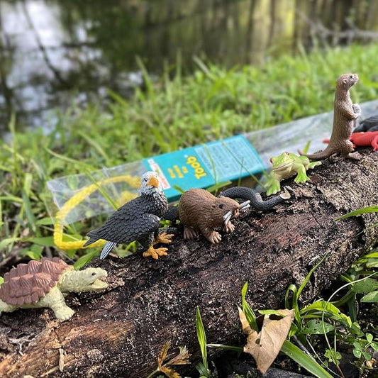 Safari Ltd. River Ecosystem TOOB - Figurines of Bald Eagle, Beaver, Alligator & More - Fun Educational Play Toy for Boys, Girls & Kids Ages 3+