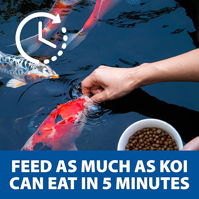 The Pond Guy Staple Fish Food for Backyard Koi & Goldfish, Choice Floating Pellets for Fish Wellness & Health, Smart Nutrition for Clean Ponds, 12 lbs
