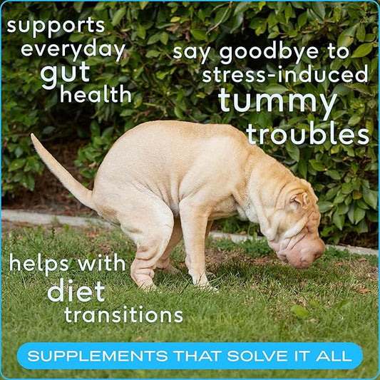 Native Pet Probiotics for Dogs - Dog Probiotics Powder for Digestive Health, Gut Support, & Immune Boost – Vet-Formulated Powder for Maximum Potency with Digestive Enzymes & Prebiotics - 240 Scoops