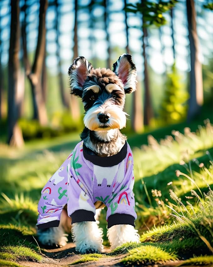 PET SHOW 4 Pack Small Dog Pajamas Spring Dog Clothes for Medium Dogs Girl Boy Soft Stretchy PJs Bee Ladybug Jumpsuit Puppy Floral Onesies Outfits with Sleeve Pets Dachshund Costume(XL, Spring)
