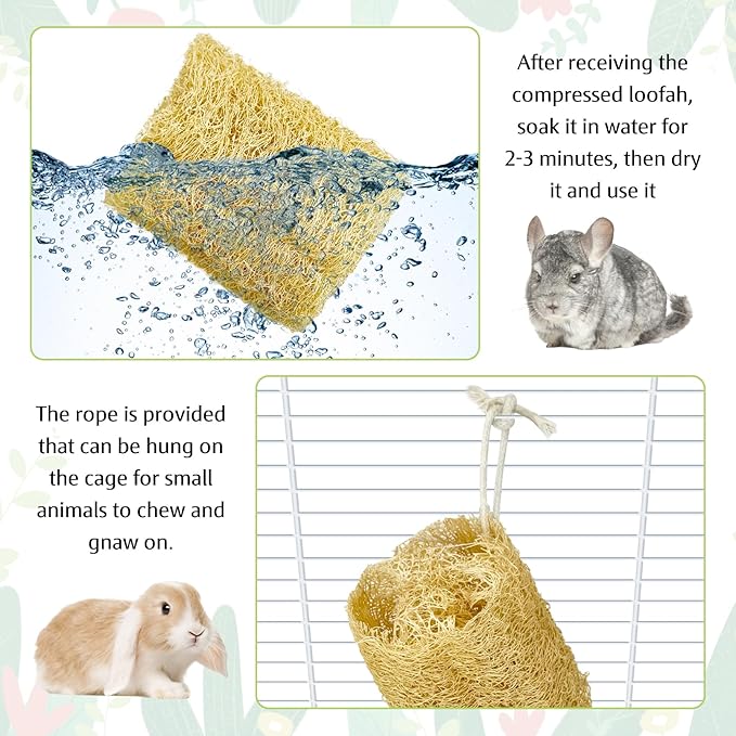 BNOSDM Bunny Chew Toys Natural Loofah 4PCS Bunny Teeth Grinding Toy Rabbit Fiber-Rich Treats Pet Entertainment Accessories for Rabbits Chinchillas Guinea Pig(L)