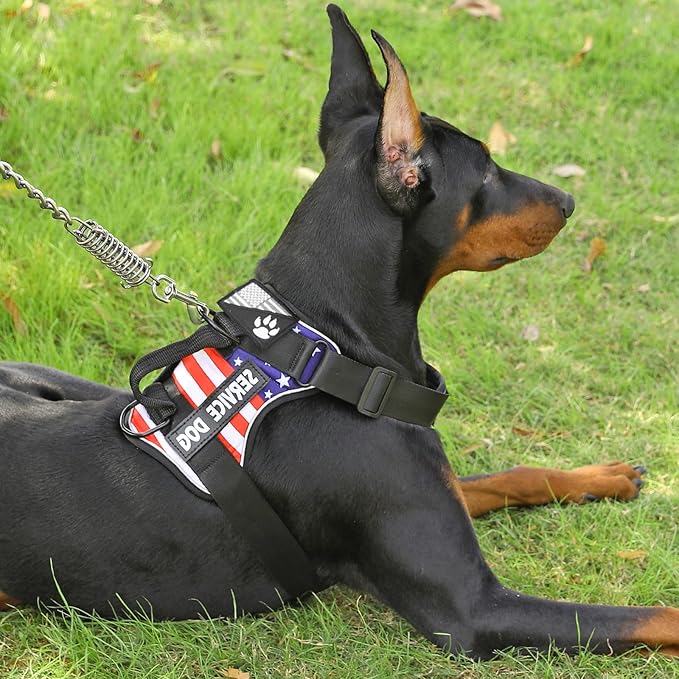 Demigreat Service Dog Harness, Reflective Dog Vest Harness with 5 PCS Patches, Adjustable Soft Oxford Pet Harness, Inner Layer Mesh, Easy to Control for Dogs (USFLAG, X-Small (Pack of 1))