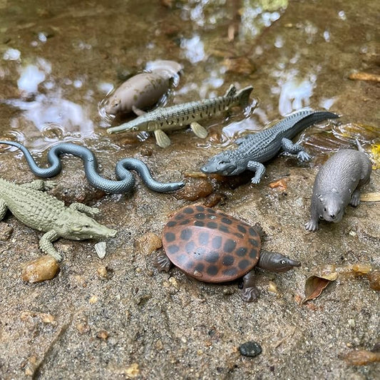 Safari Ltd. Everglades TOOB - 11 Mini Figurines: Manatee, Alligator, Turtle & More - Educational Toy Set for Boys, Girls & Kids Ages 3+