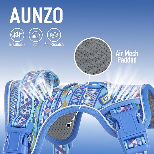 No Pull Dog Harness for Small Dog Breeds, Anti-Escape Easy Walking Reflective Adjustable Lightweight Dog Vest with Breathable Oxford Material, Easy on Easy Off with Neck Buckle,Blue Ethnic XS