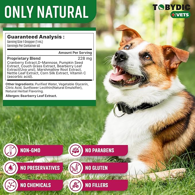 Cat & Dog Natural UTI Medicine & Urinary Tract Infection Treatment with Cranberry - Kidney + Bladder Support Supplement - Best Prevention for Urine Incontinence & Bladder Stones - Pet Renal Health