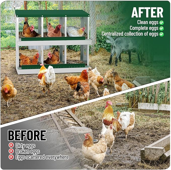 6 Compartments Chicken Nesting Box,Metal Chicken Egg Laying Box, Nesting Boxes,Easy Egg Collection, Easy Cleaning (Green)