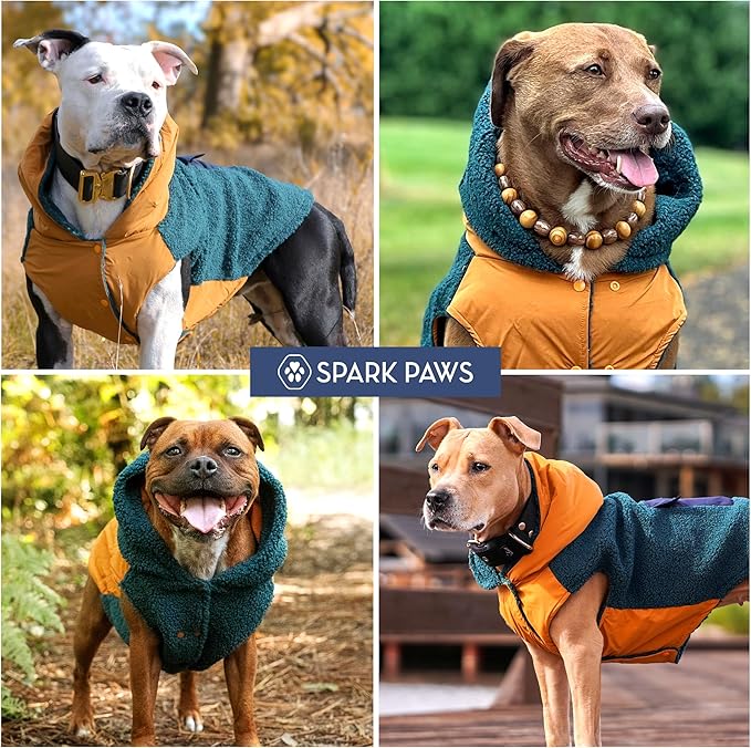 Spark Paws Reversible Dog Sweater, Sherpa Jacket Vest with Warm Fleece Lining, Warm Coat for Winter, Suitable for Small Medium, Large, XL XXL Dogs - Orange and Green - L