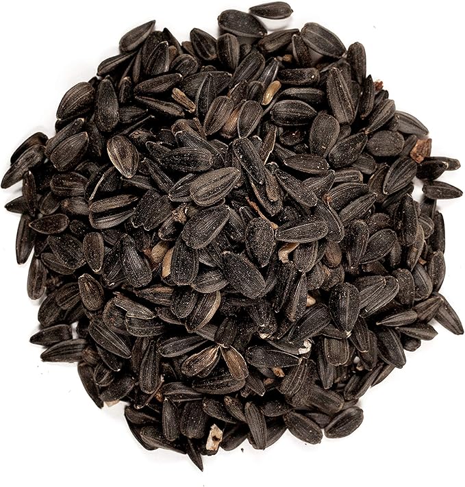 Wagner's 10-Pound Nyjer Seed, 5-Pound Black Oil Sunflower Seed Wild Bird Food Bundle