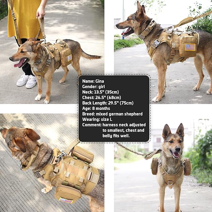 Forestpaw Tactical Dog Harness for Large Dogs,Tactical Dog Collar with Bungee Leash Set,No Pull Military Dog Harness for Walking Training,Adjustable for Medium Large Dogs,Khaki,Chest 21.5-45"