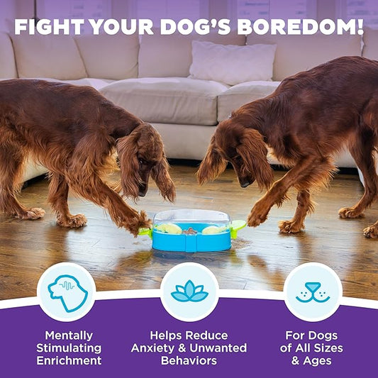 Outward Hound Nina Ottosson Paw N' Play Interactive Dog Treat Puzzle, Level 2 Intermediate Dog Enrichment Dog Toy, Blue, Small