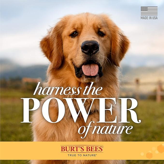 Burt's Bees for Pets Itch Soothing Shampoo with Honeysuckle, 95% Natural Origin Formulas, Dog Cleanser Wash for Itchy Dogs, Skin Relief, 16 oz