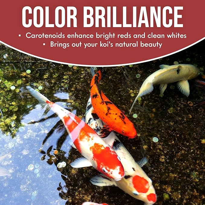 Goldfish Fish Food (1 Pack 2.5lb)