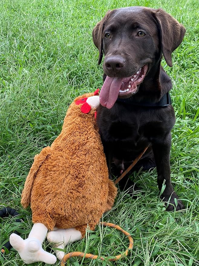 HDP Rooster Size:24 Inch Color:White Rooster